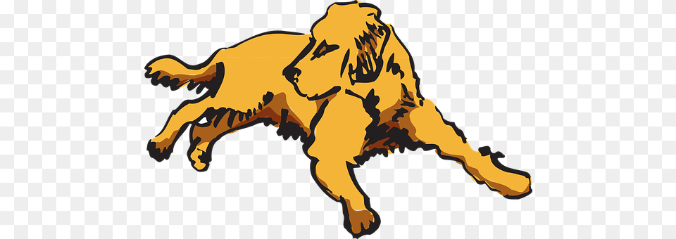 Dog Animal, Lion, Mammal, Wildlife Free Png