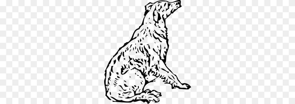 Dog Gray Free Transparent Png