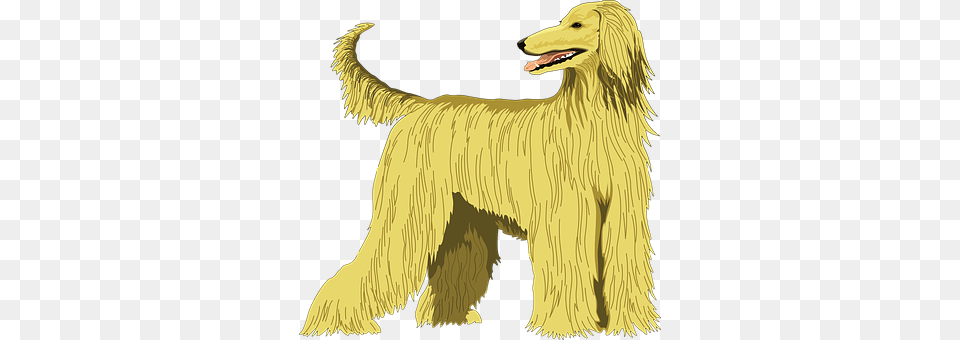 Dog Animal, Canine, Hound, Mammal Free Transparent Png