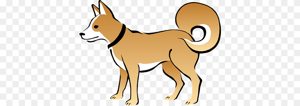 Dog Animal, Kangaroo, Mammal, Canine Free Png Download