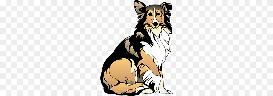 Dog Animal, Canine, Collie, Mammal Png Image