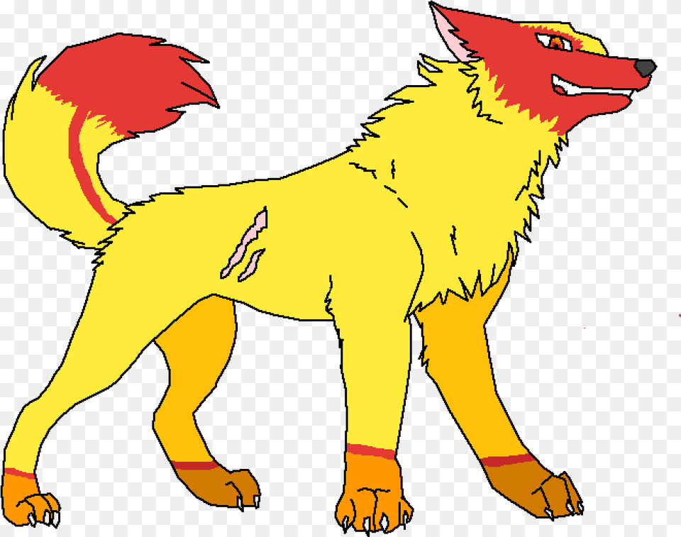 Dog, Animal, Coyote, Mammal, Person Free Transparent Png