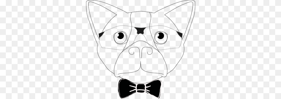 Dog Accessories, Formal Wear, Glasses, Tie Free Png Download