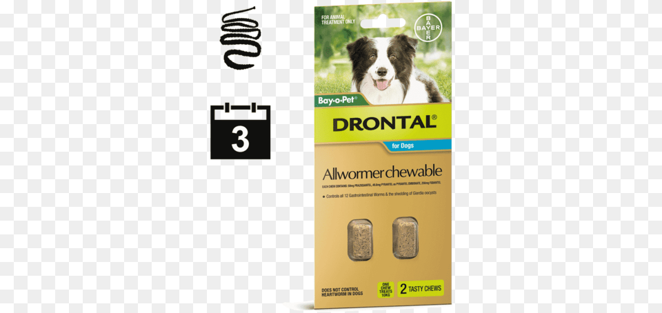 Dog All Wormers Drontal Allwormer, Advertisement, Poster, Animal, Canine Png Image