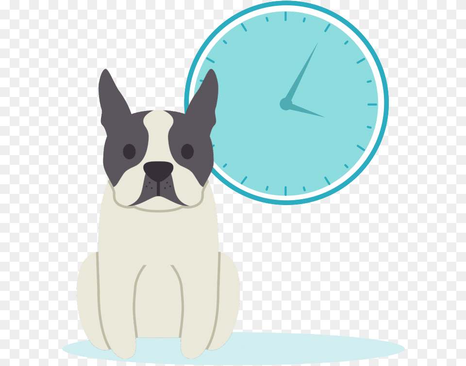 Dog Alone Boston Terrier, Analog Clock, Clock, Animal, Cat Free Transparent Png