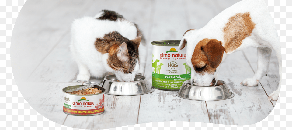 Dog And Cat Eating, Aluminium, Food, Tin, Canned Goods Png