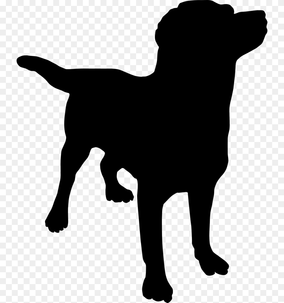 Dog And Cat Silhouette Clip Art Clipart Outline Winging, Gray Png