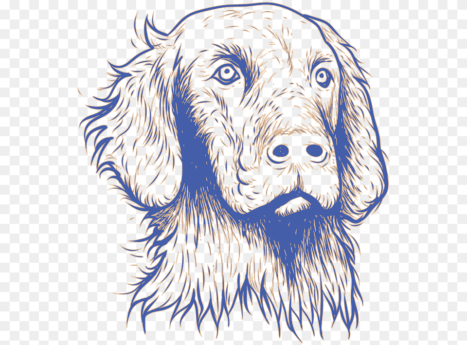 Dog Animal Desing On Pixabay Dog, Person, Art, Face, Head Free Transparent Png