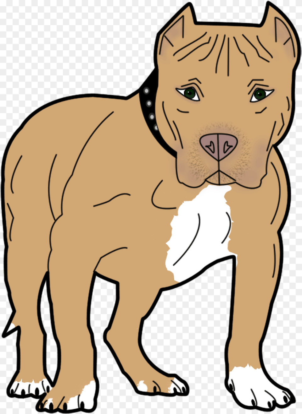 Dog Animal Pet Canine Bull Pit Pit Bull Pitbull Clip Art, Baby, Person, Bulldog, Mammal Free Png Download