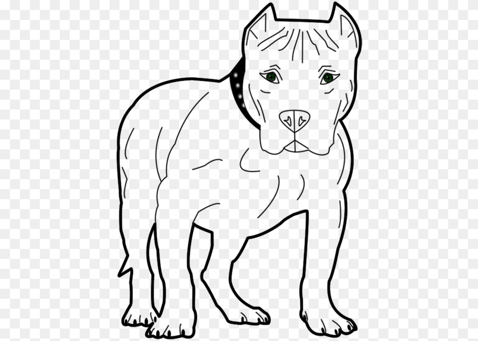 Dog Animal Pet Canine Bull Pit Pit Bull Transparent Pitbull Clip Art, Nature, Night, Outdoors, Cat Free Png