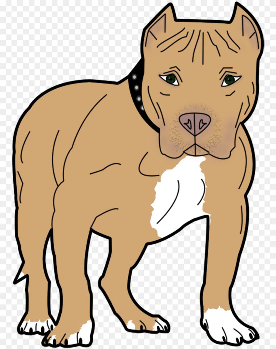Dog Animal Pet Canine Bull Pit Pitbull Clipart Transparent Background, Baby, Person, Bulldog, Mammal Png Image
