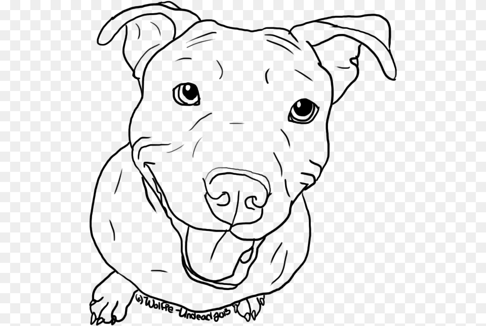 Dog Bark Drawing At Getdrawings Com Easy Drawings Of Pitbulls, Gray Png