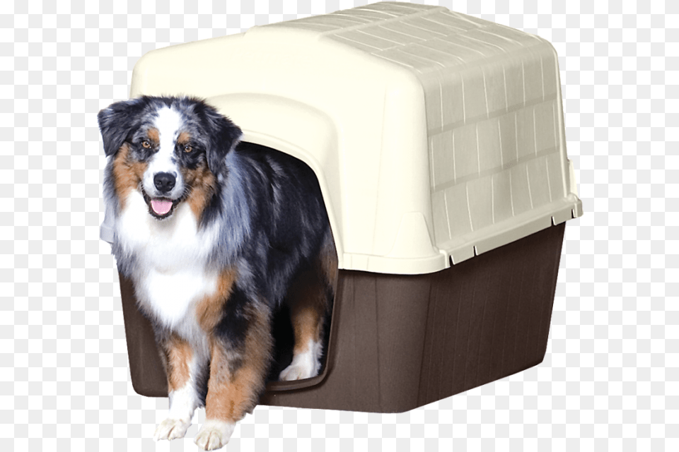 Dog Barn House, Den, Dog House, Indoors, Animal Free Png Download