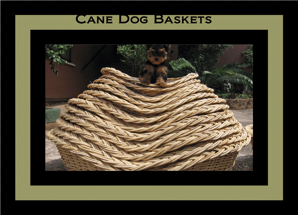 Dog Baskets Picnic Baskets Custom Made Baskets, Basket, Animal, Canine, Mammal Png