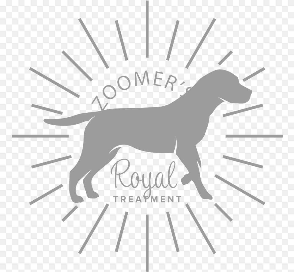 Dog Bath Wynwood Dog Food, Animal, Canine, Labrador Retriever, Mammal Png