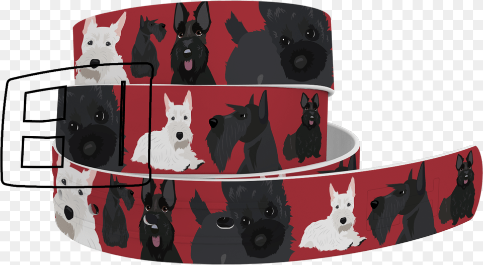 Dog Belt, Accessories, Animal, Canine, Mammal Free Transparent Png