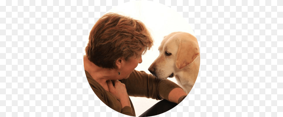 Dog Bite Prevention Webinar Series Good Dog Pro Labrador Retriever, Adult, Person, Man, Male Free Transparent Png