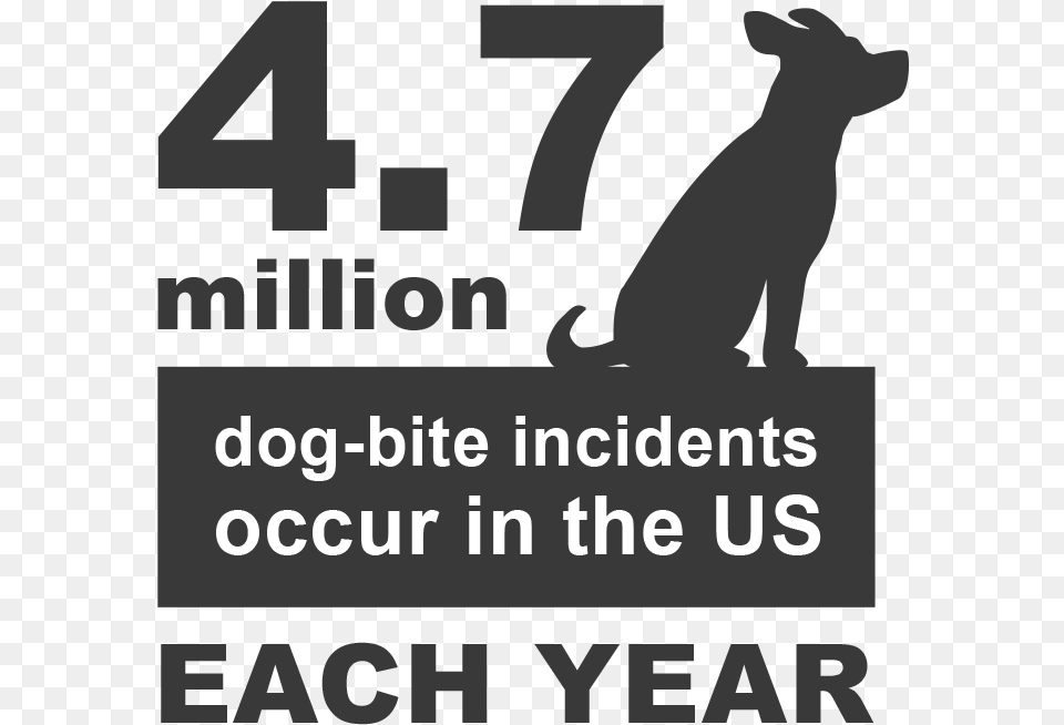 Dog Bite Statistics And Facts Guard Dog, Advertisement, Poster, Animal, Kangaroo Png