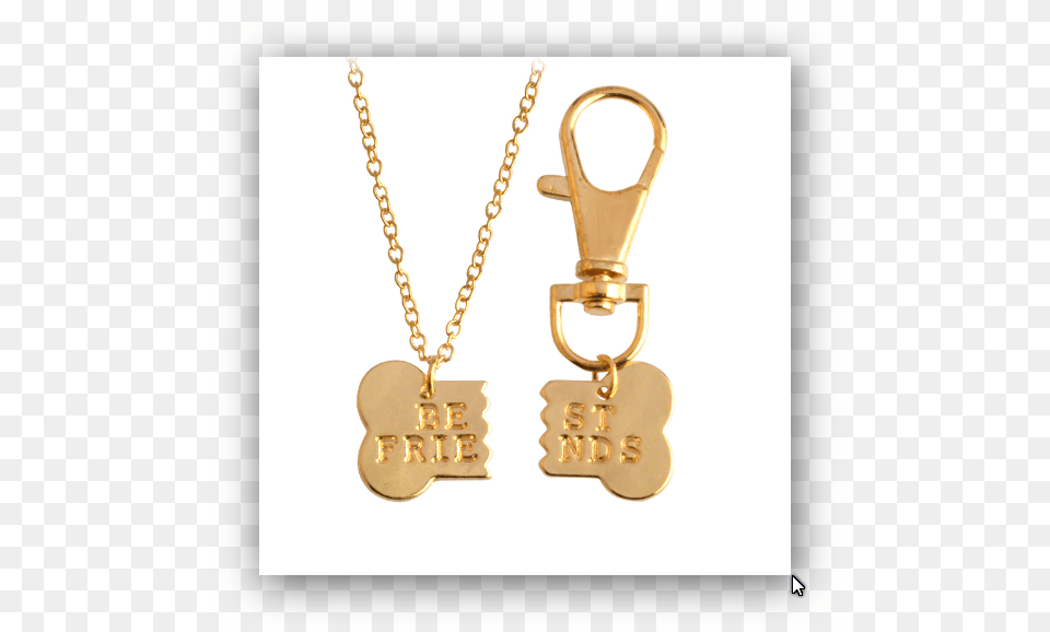 Dog Bone Best Friends 2pcsset Gold Silver Plated Dog Bone Pendant Necklace, Accessories, Jewelry Png Image