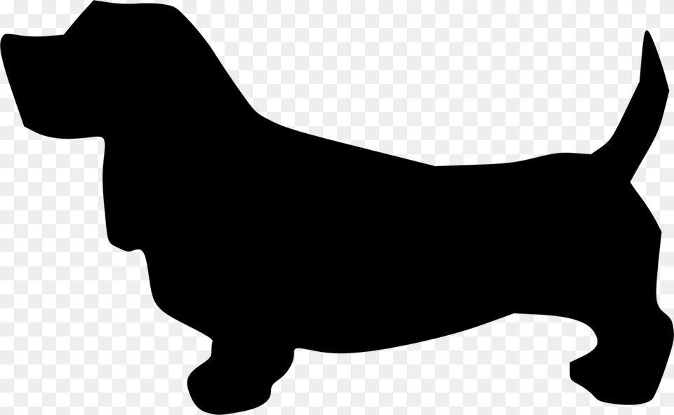 Dog Breed Puppy Basset Hound Dachshund T Shirt, Gray Png Image