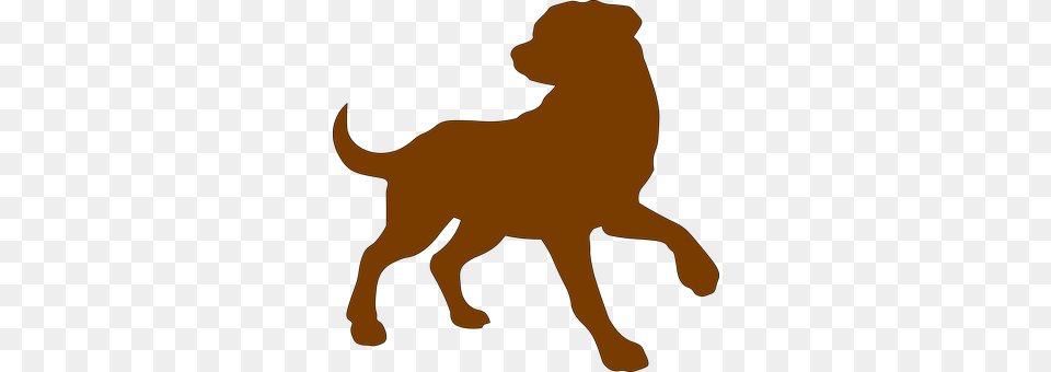 Dog Brown Outline Domestic Animal, Canine, Labrador Retriever, Mammal, Pet Free Transparent Png