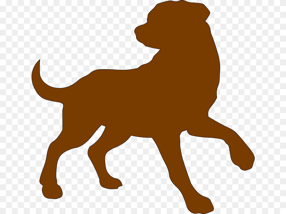 Dog Brown Outline Domestic Animal Pet Canine Perro Contorno, Baby, Person, Lion, Mammal Png Image