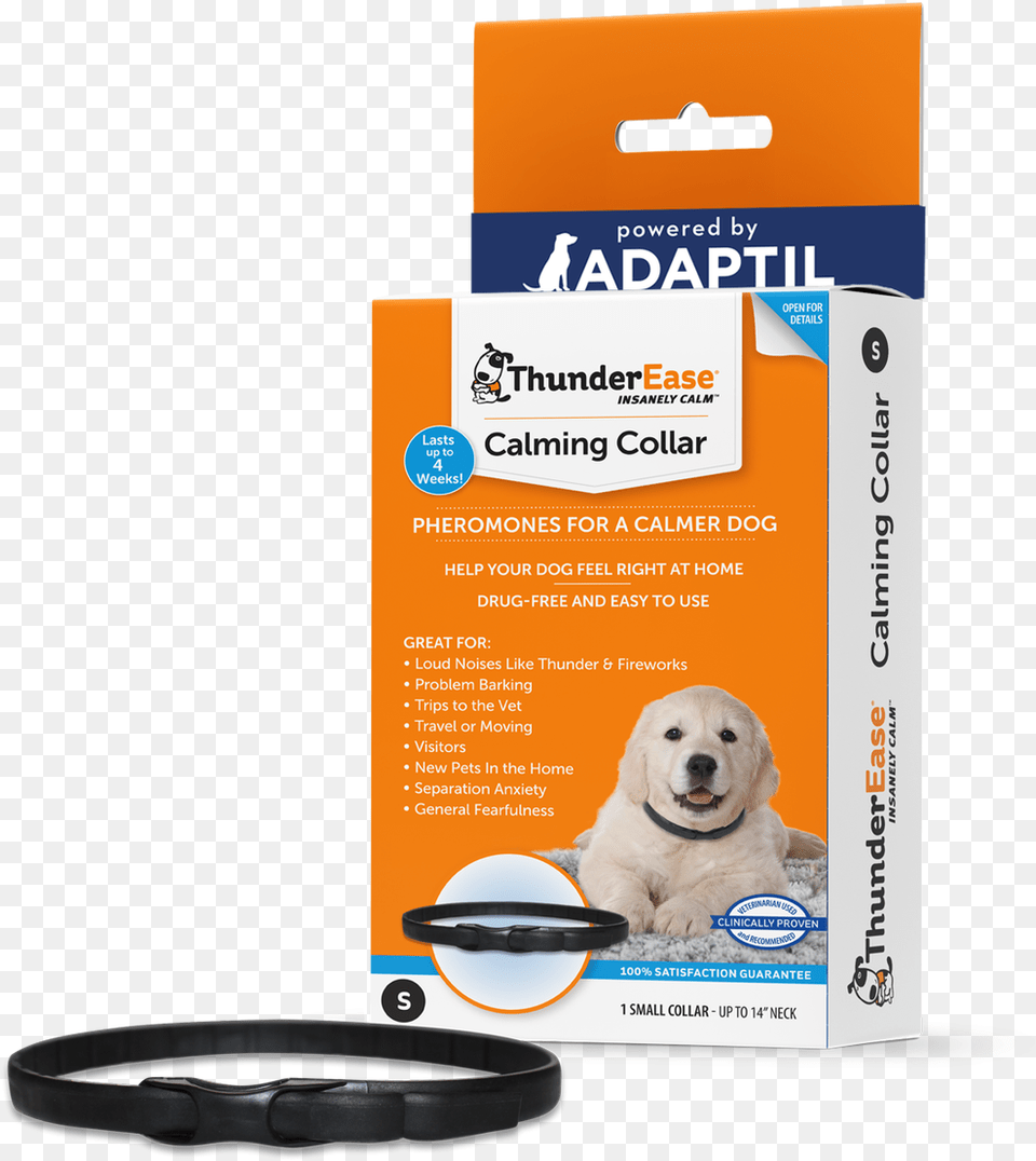 Dog Calming Collar, Animal, Canine, Mammal, Pet Png Image