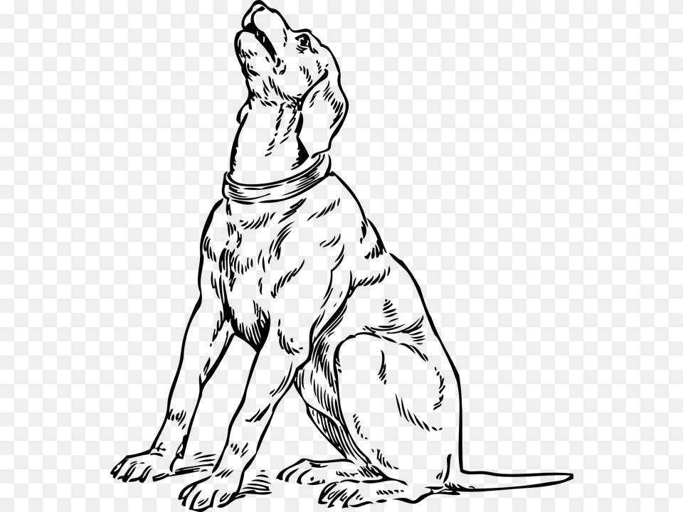 Dog Canine Howl Barking Pet Hound Retriever Barking Dog Coloring Pages, Person, Silhouette, Art Free Png