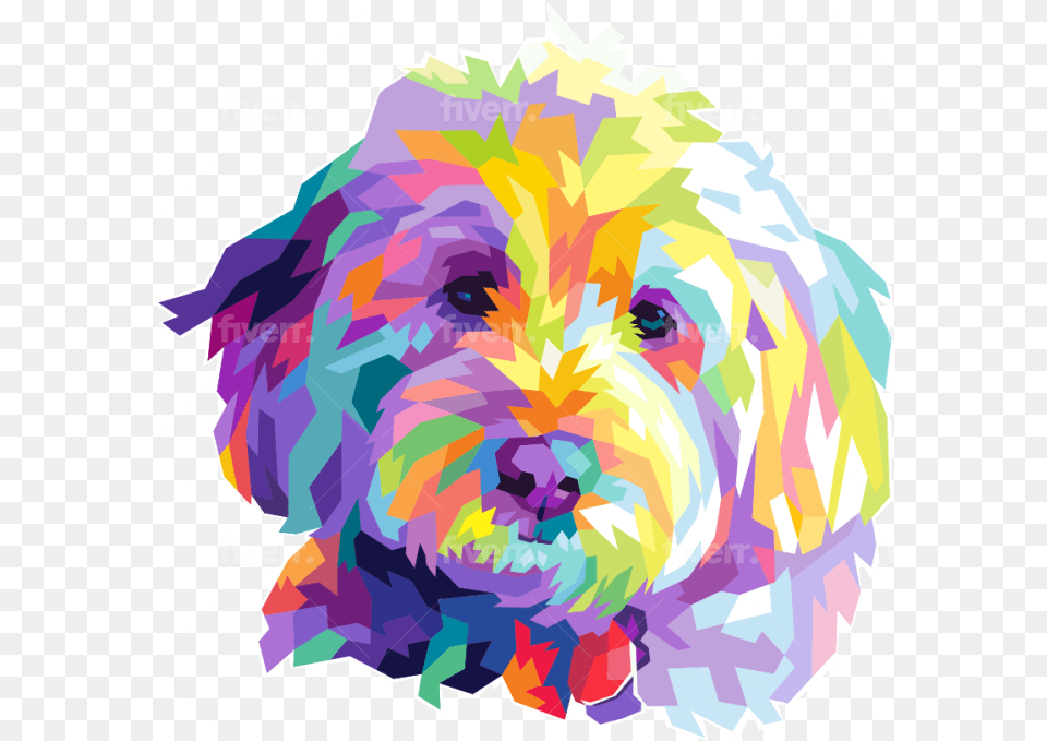 Dog Cat Animal Pets Norfolk Terrier, Graphics, Art, Baby, Person Png Image