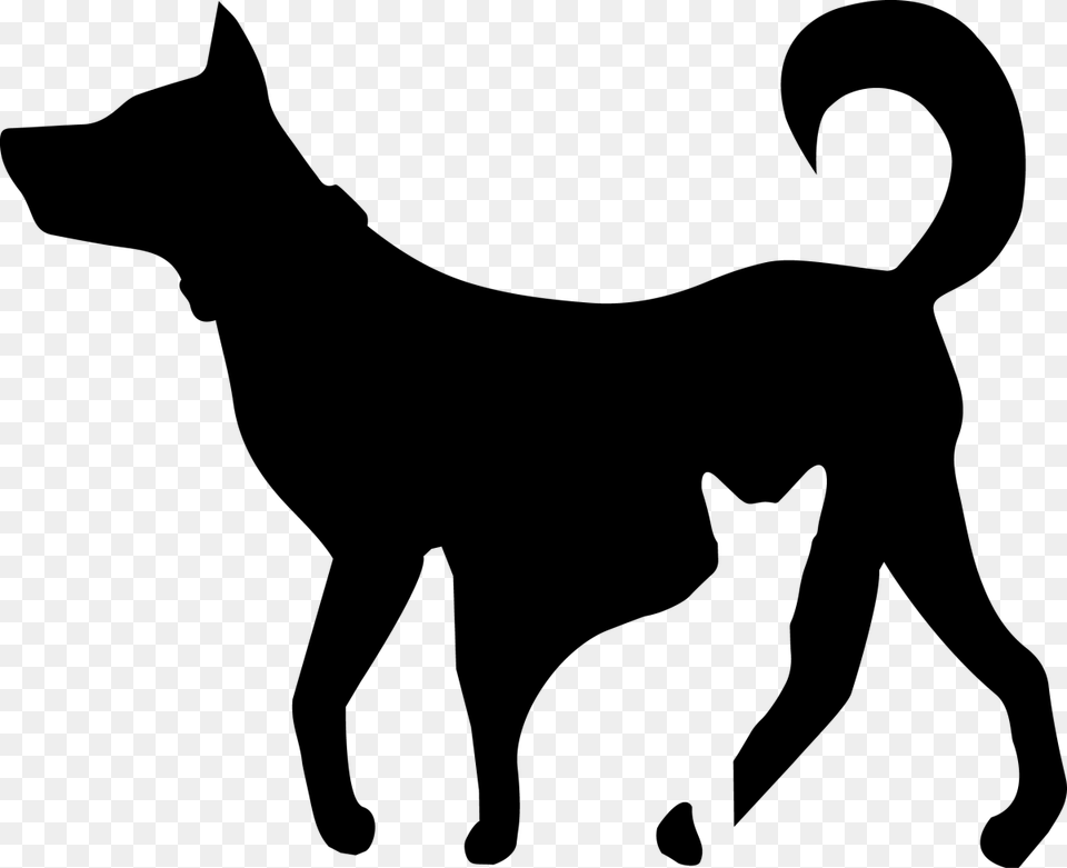 Dog Cat Black Lab Dog Clipart, Gray Png Image