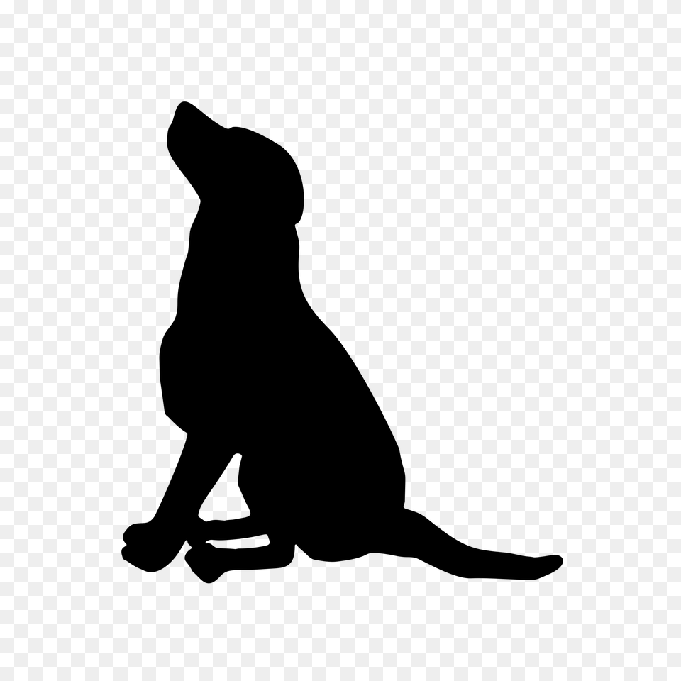Dog Cat Clip Art Pet Graphics, Gray Free Png Download