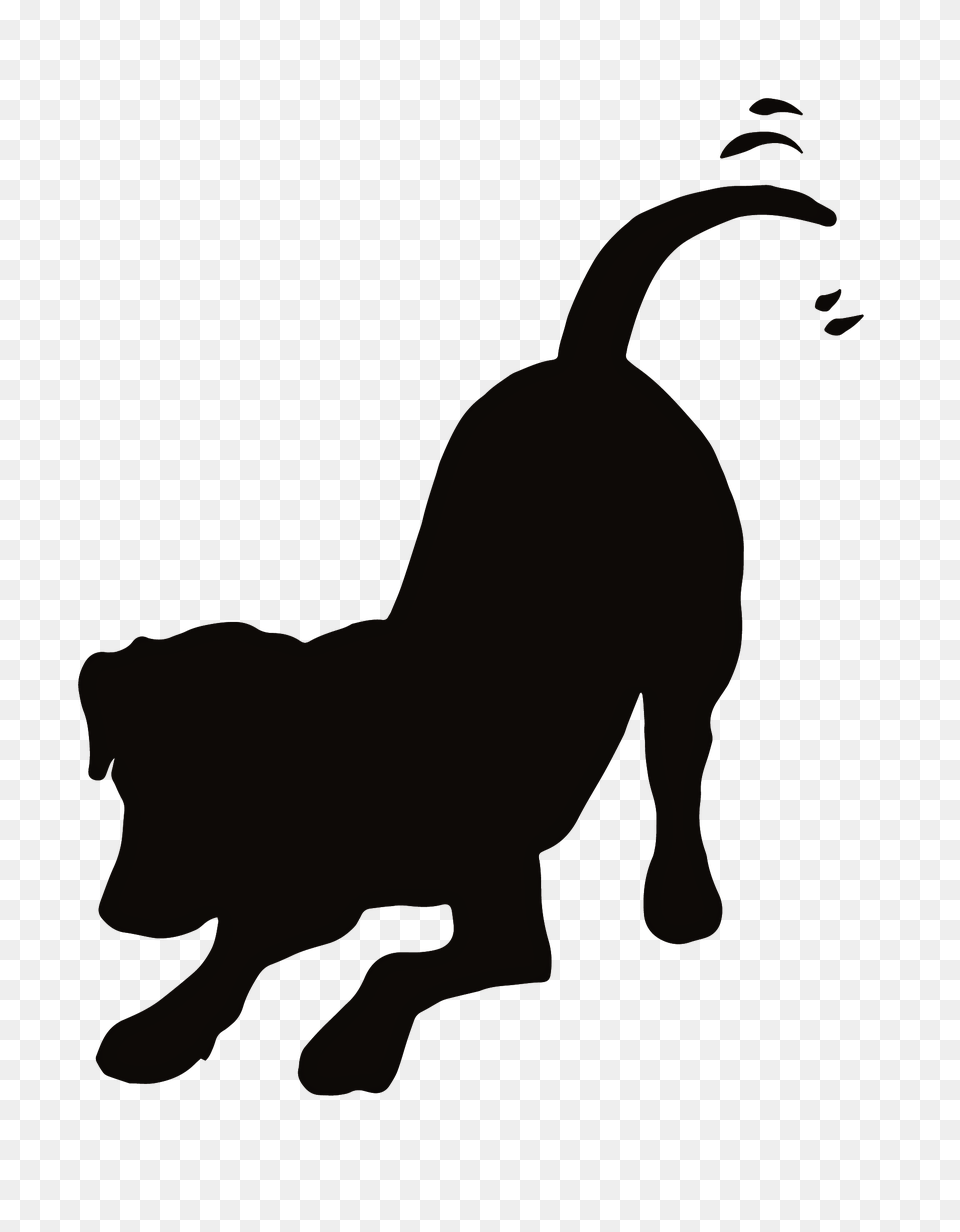 Dog Cat Clip Art Pet Graphics, Silhouette, Animal, Lion, Mammal Free Transparent Png
