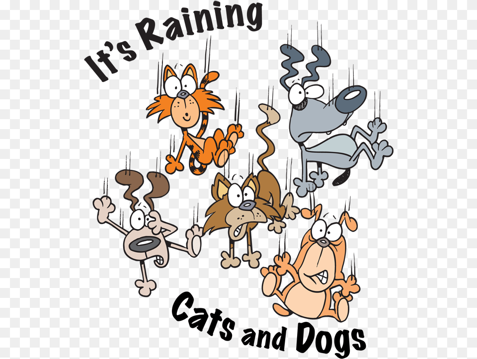 Dog Cat Clipart Group Royalty Download Metaphor It39s Raining Cats And Dogs, Cartoon, Baby, Person, Face Png Image