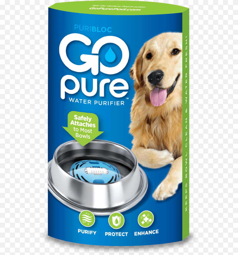 Dog Catches Something, Animal, Canine, Mammal, Pet Free Png