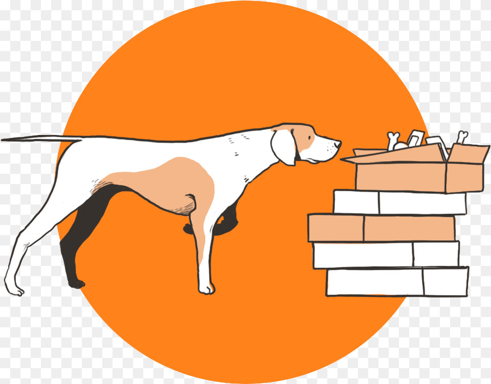 Dog Catches Something, Brick, Animal, Canine, Mammal Png Image