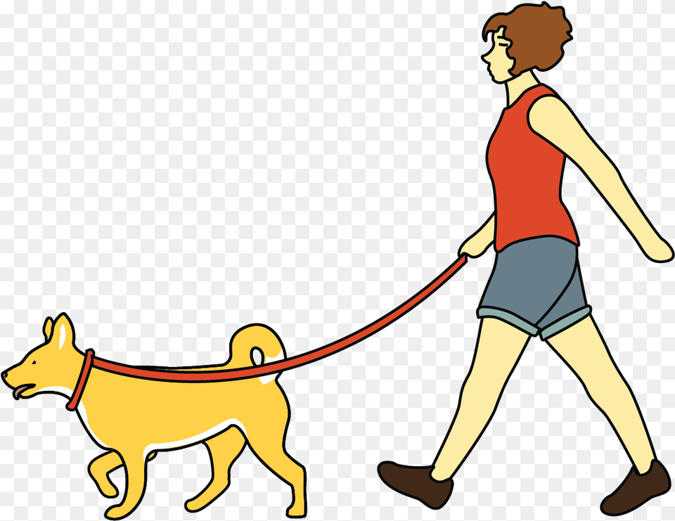 Dog Catches Something, Accessories, Strap, Person, Walking Free Png