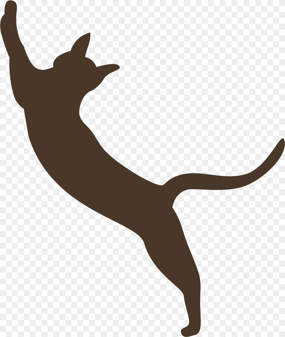 Dog Catches Something, Animal, Kangaroo, Mammal, Cat Free Transparent Png