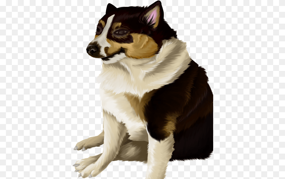 Dog Catches Something, Animal, Canine, Mammal, Pet Free Transparent Png