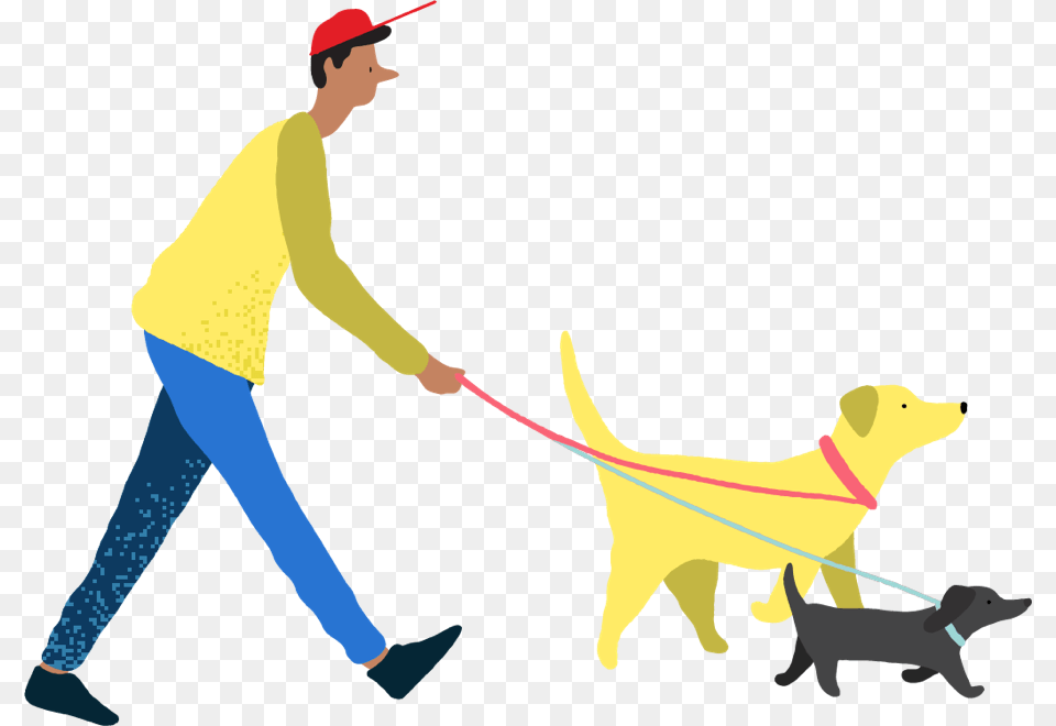 Dog Catches Something, Accessories, Strap, Person, Canine Free Transparent Png