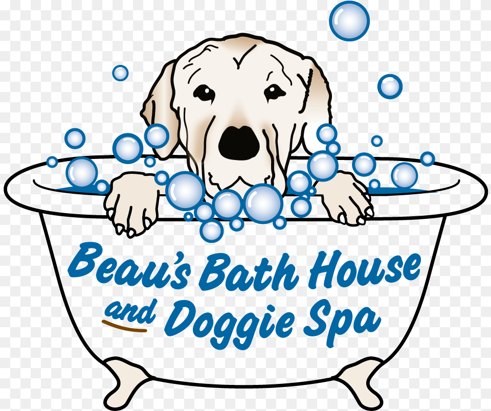 Dog Catches Something, Tub, Bathing, Baby, Person Png Image