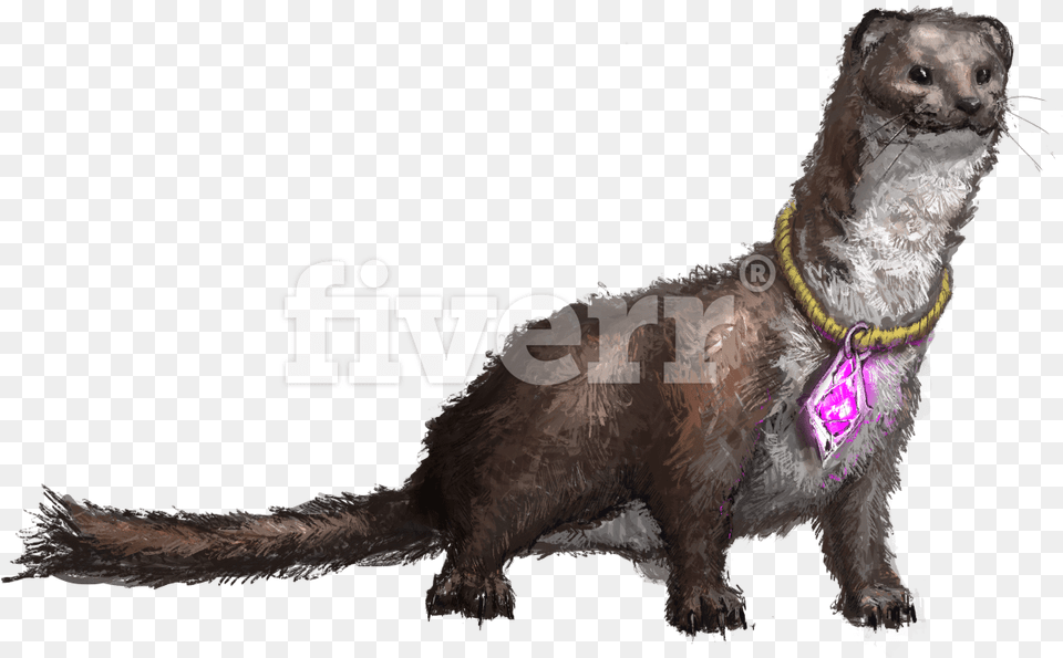 Dog Catches Something, Animal, Mammal, Wildlife, Bear Free Transparent Png