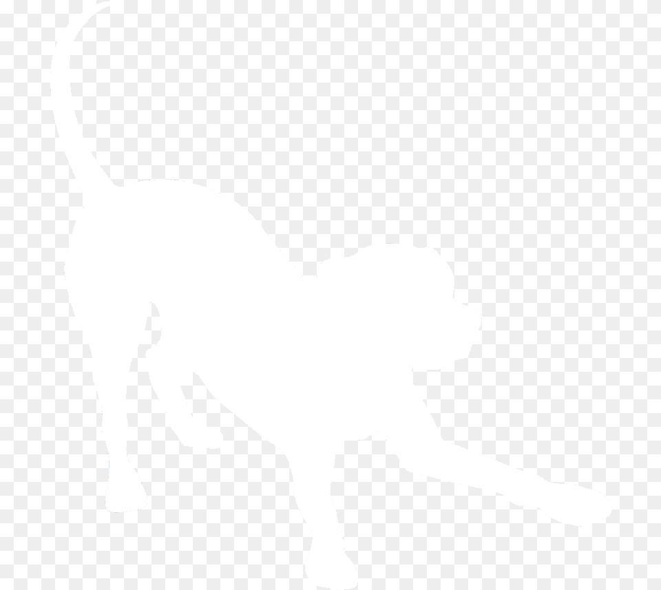 Dog Catches Something, Silhouette, Stencil, Animal, Canine Png