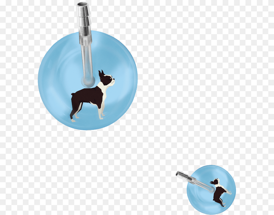 Dog Catches Something, Sink, Sink Faucet, Animal, Canine Free Png
