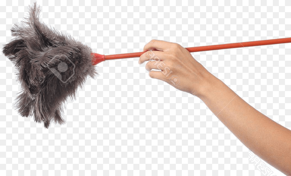 Dog Catches Something, Cleaning, Person Png Image