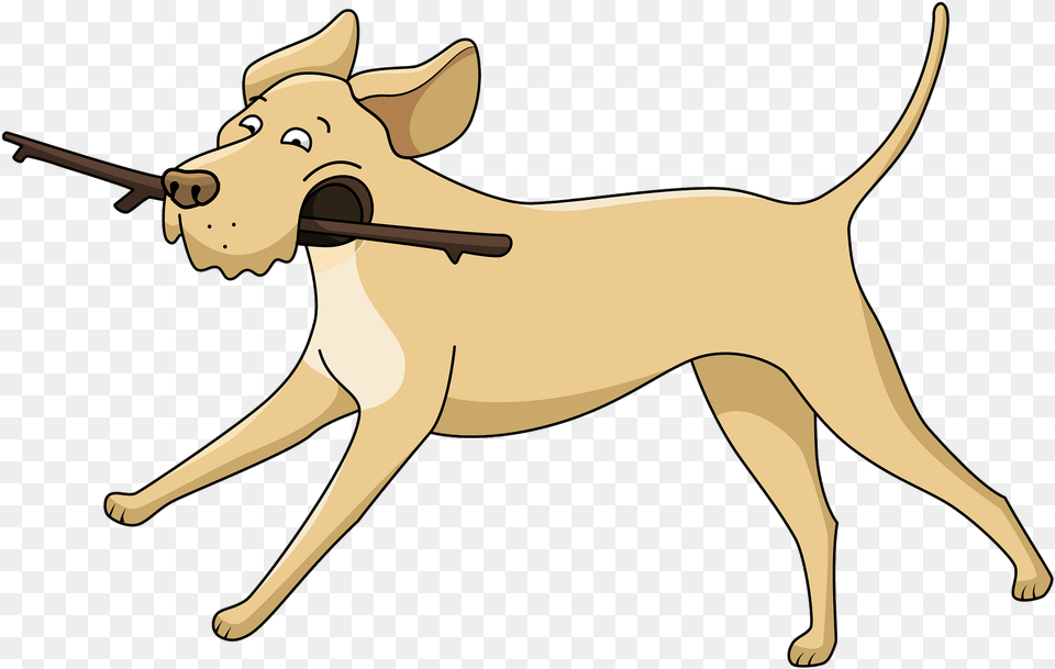 Dog Catches Something, Bow, Weapon, Accessories Free Transparent Png