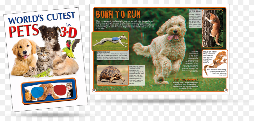Dog Catches Something Download Dog Catches Something, Advertisement, Sea Life, Reptile, Poster Free Png