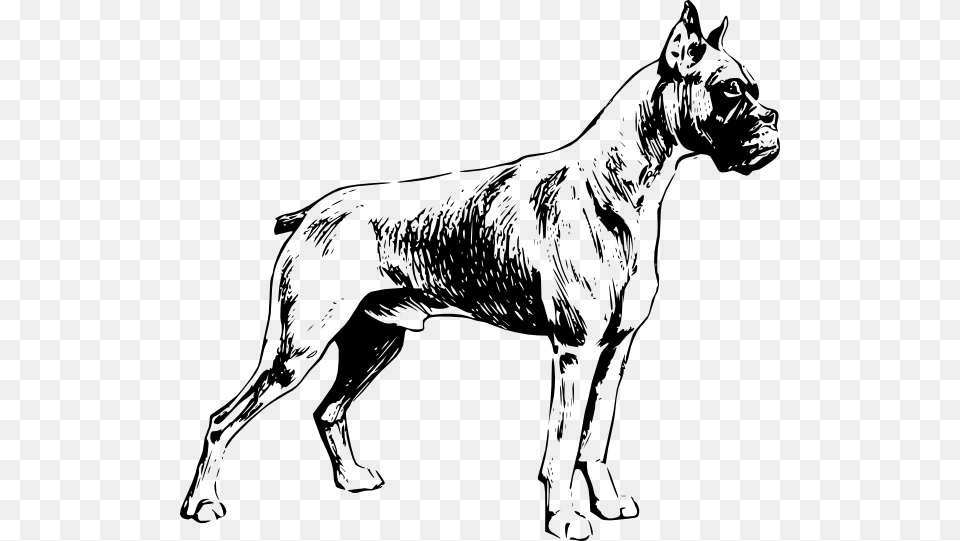 Dog Clip Art, Animal, Canine, Mammal, Pet Free Png