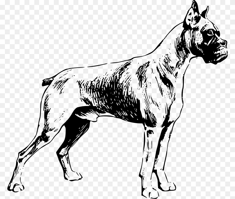Dog Clip Art At Clker Perros Boxer Para Colorear, Gray Png Image