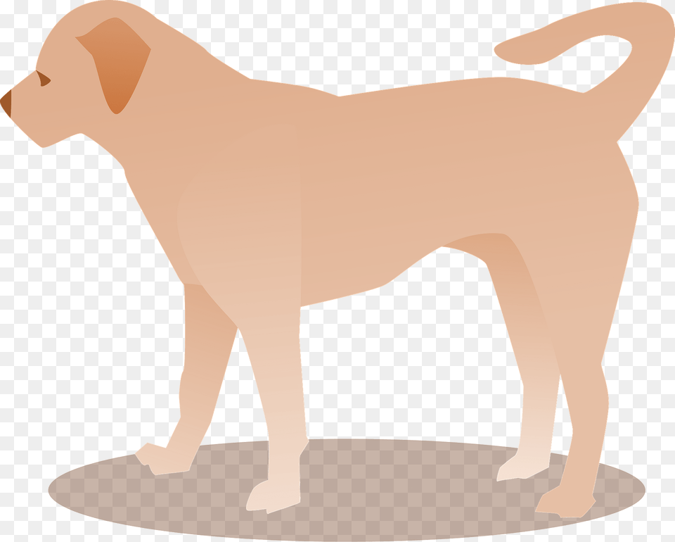 Dog Clipart, Animal, Canine, Labrador Retriever, Mammal Png Image