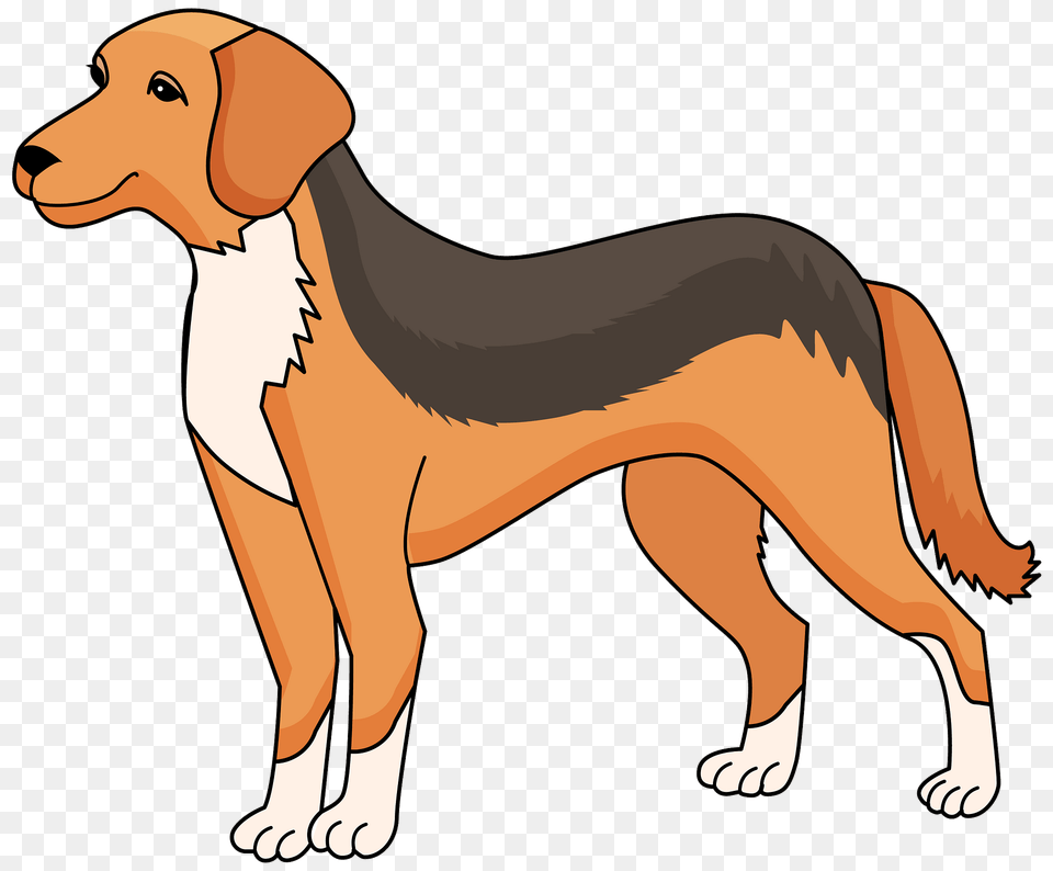 Dog Clipart, Animal, Canine, Hound, Mammal Png Image